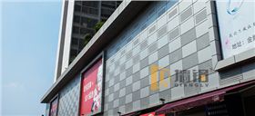 金鵝6.jpg